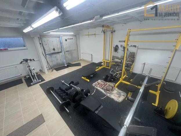 Prodej skladu, Ústí nad Orlicí, Pivovarská, 40 m2