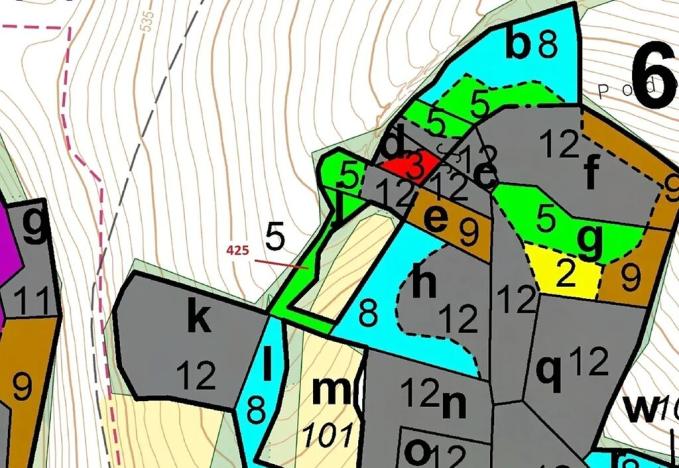Dražba lesa, Kuřimany, 1719 m2