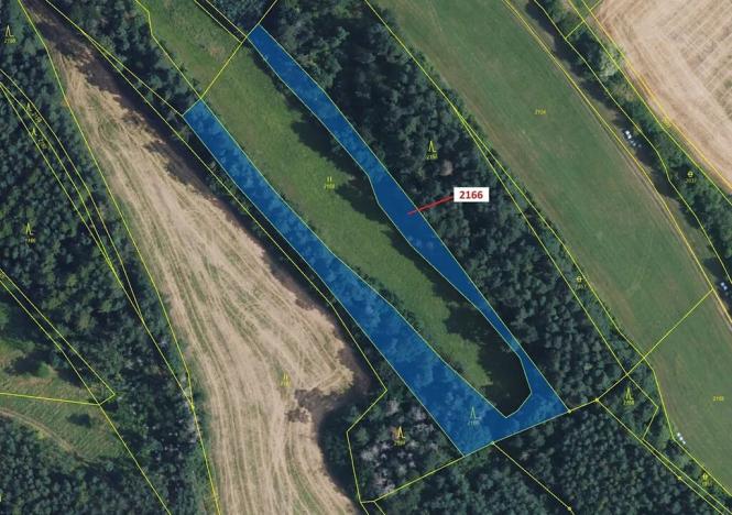 Dražba lesa, Žďárec, 3616 m2