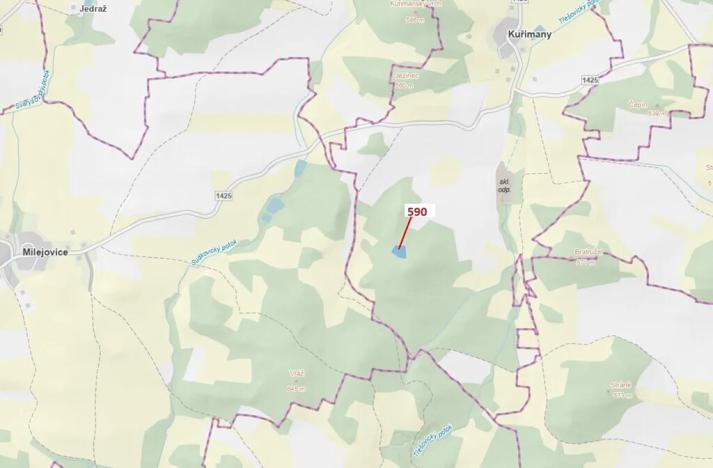 Dražba lesa, Kuřimany, 4807 m2