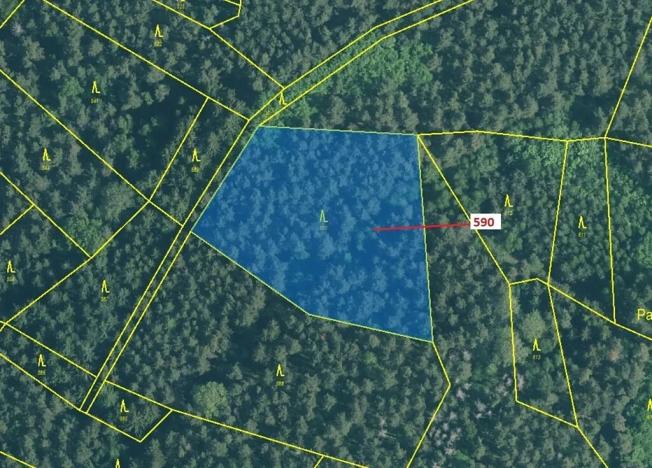 Dražba lesa, Kuřimany, 4807 m2