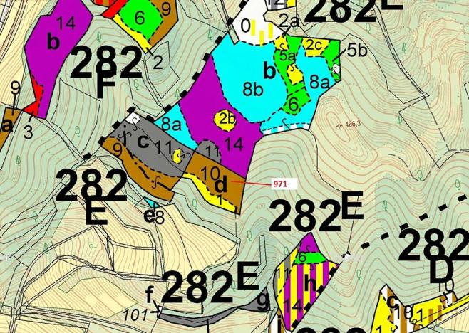 Dražba lesa, Lhota Rapotina, 4308 m2
