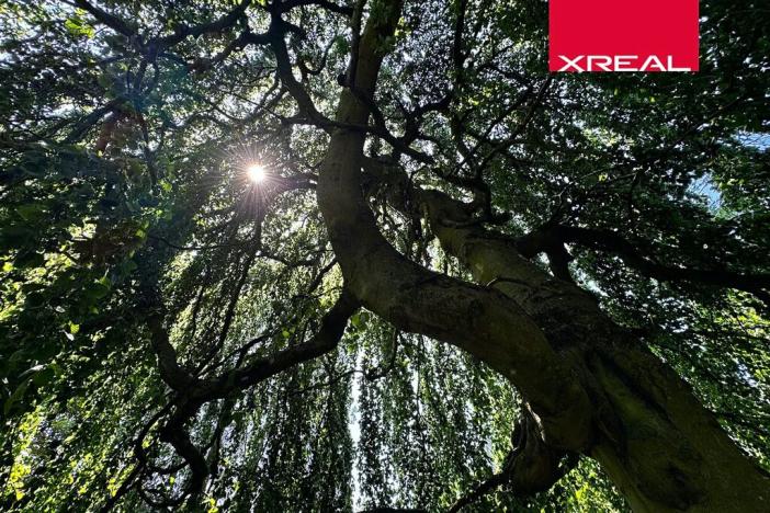 Prodej rodinného domu, Kamenice, Lomená, 157 m2