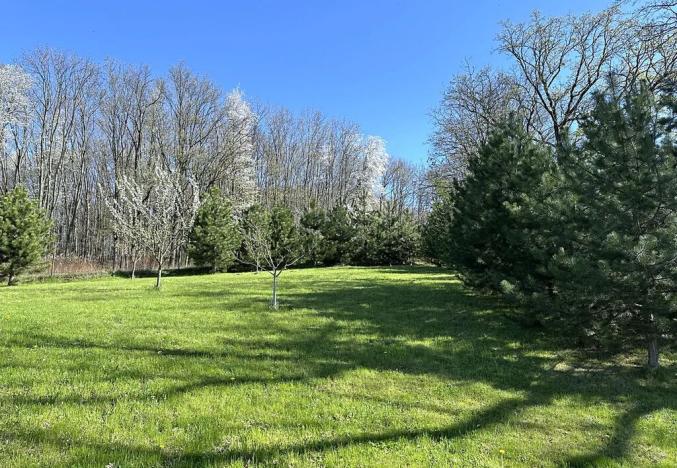 Prodej kanceláře, Ostrava, Lipka, 520 m2