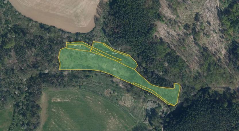 Prodej louky, Štětí, 16044 m2