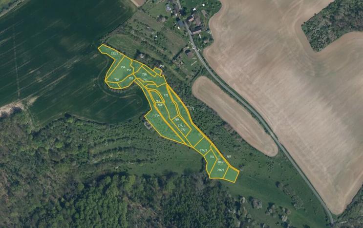 Prodej louky, Štětí, 24191 m2