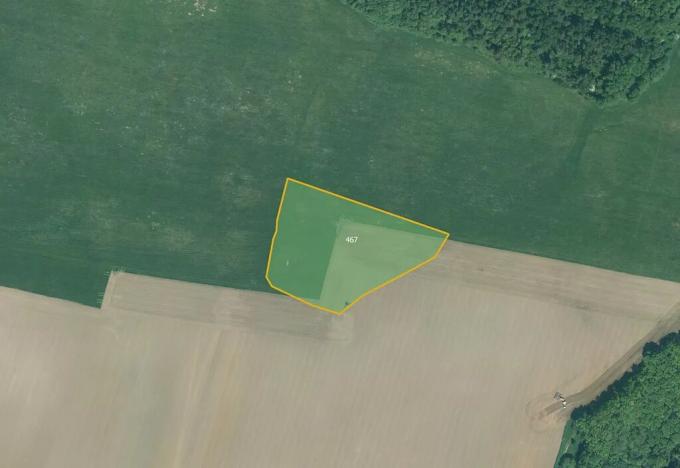 Prodej podílu pole, Bor, 8917 m2