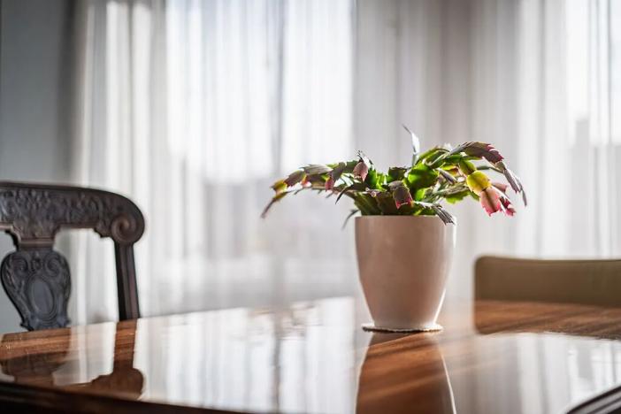 Prodej rodinného domu, Praha - Strašnice, Břežanská, 215 m2