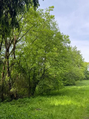 Prodej pozemku, Český Dub, 19364 m2