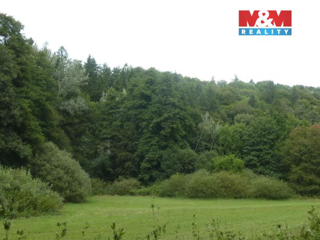 Prodej lesa, Vysoká Srbská, 26095 m2