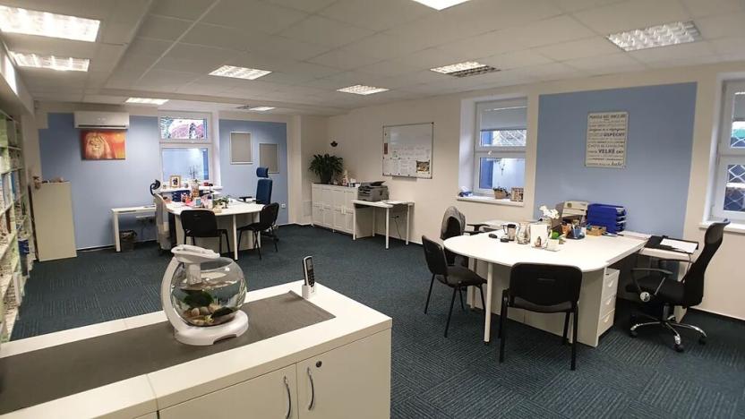 Pronájem kanceláře, Frýdek-Místek, Potoční, 121 m2