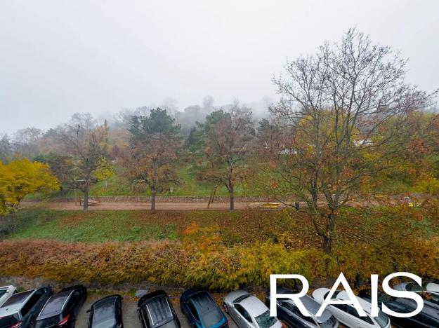 Prodej bytu 3+kk, Brno, Pellicova, 113 m2