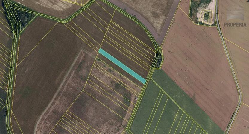 Prodej pole, Nesvačilka, 75595 m2