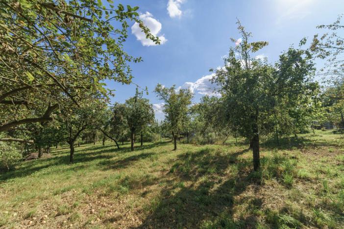 Prodej rodinného domu, Bařice-Velké Těšany - Velké Těšany, 240 m2