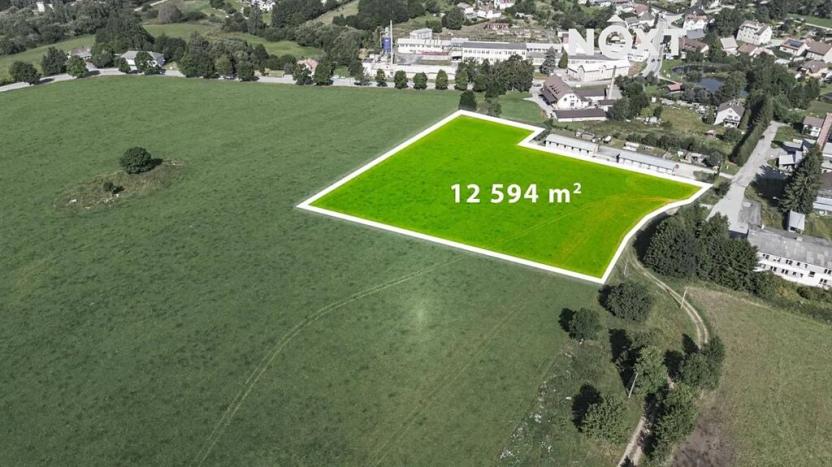 Prodej komerčního pozemku, Horní Planá, 12594 m2