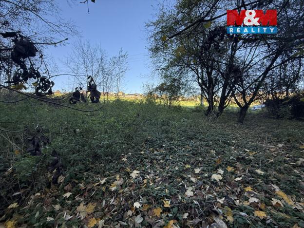 Prodej lesa, Velká Polom, 1901 m2