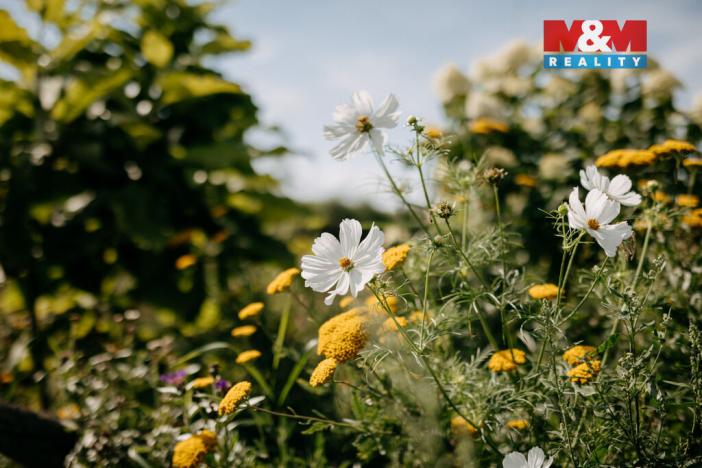 Prodej komerčního pozemku, Sušice - Divišov, 4292 m2