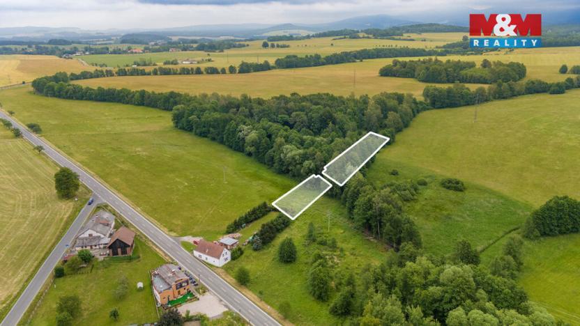 Prodej louky, Dětřichov, 4178 m2