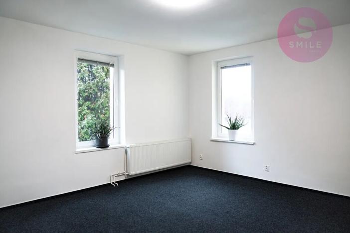 Pronájem obchodního prostoru, Ostrava, Hladnovská, 250 m2