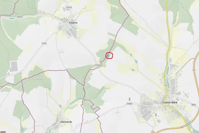 Prodej lesa, Česká Bělá, 2647 m2