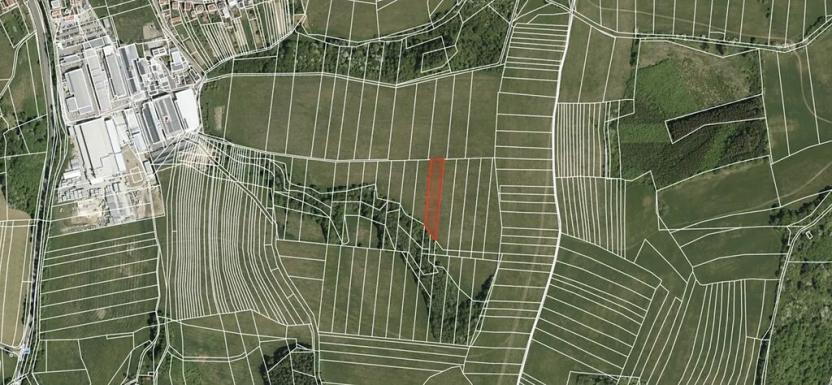 Prodej pole, Kaňovice, 2896 m2