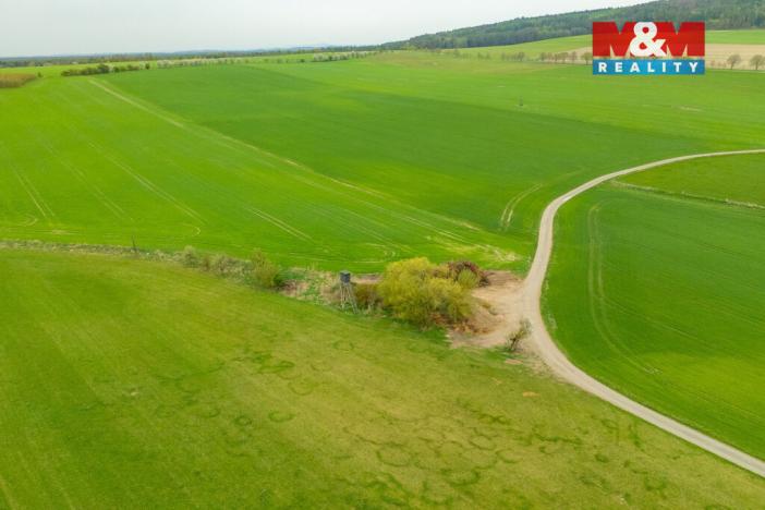 Prodej louky, Olešnice, 730 m2