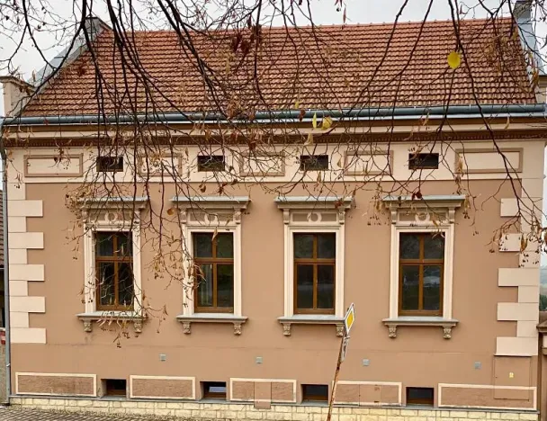 Prodej rodinného domu, Čečelice, Všetatská, 650 m2