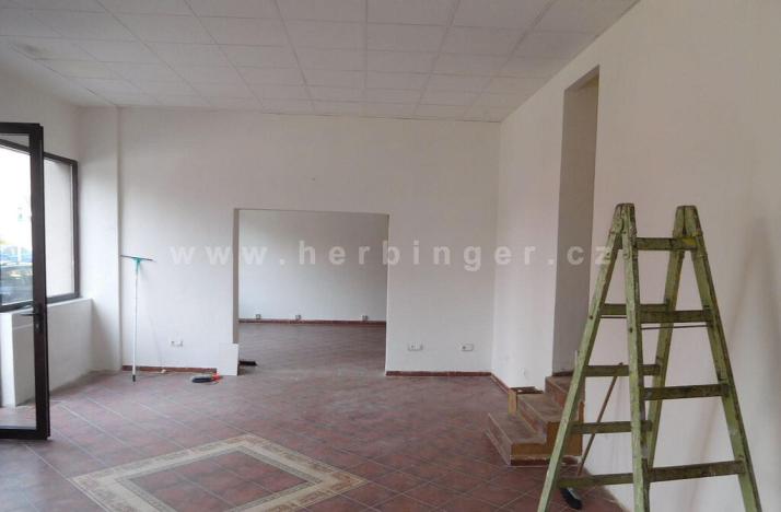 Prodej rodinného domu, Ostrava - Vítkovice, Mírová, 1505 m2