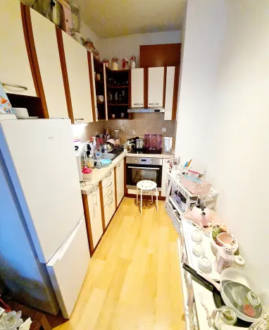 Pronájem bytu 1+kk, Praha - Záběhlice, Ve slatinách, 45 m2