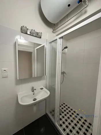 Pronájem bytu 1+kk, Praha - Nusle, V Horkách, 32 m2