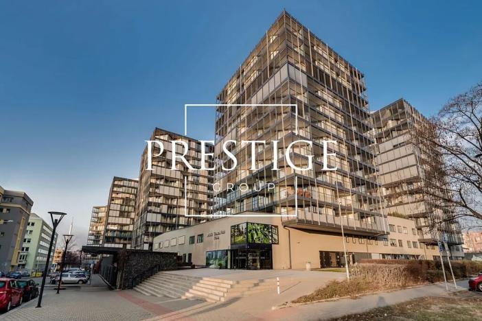 Pronájem bytu 2+kk, Praha - Žižkov, Pitterova, 62 m2