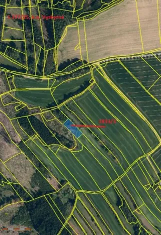 Prodej lesa, Vyskytná, 1907 m2