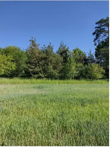 Prodej lesa, Lipník, 2058 m2