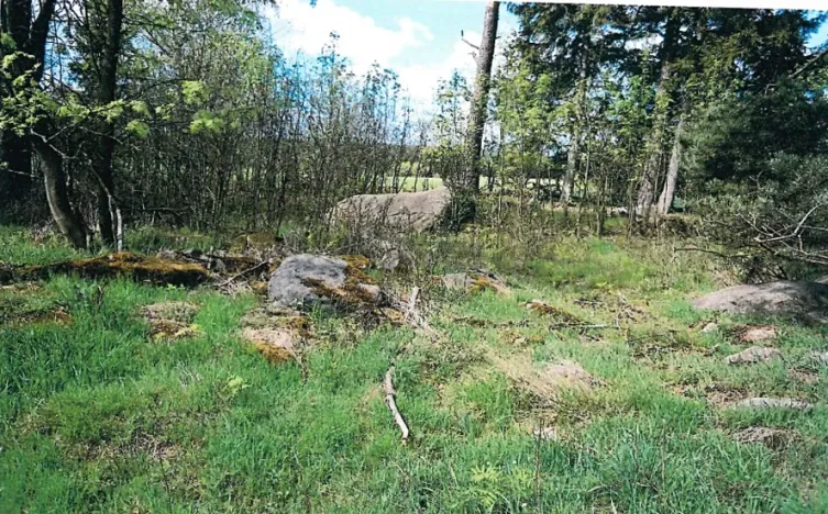 Prodej lesa, Nová Bystřice, 1069 m2