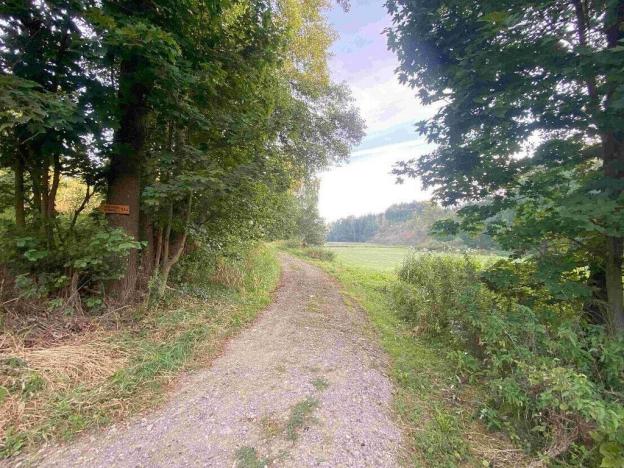 Prodej pole, Polná, 9377 m2