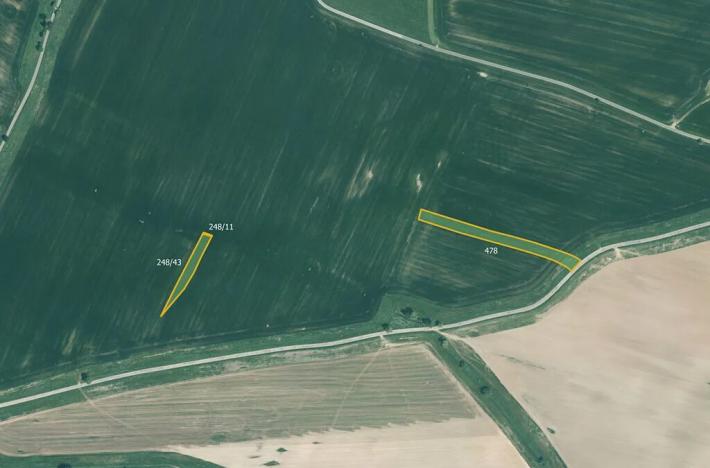 Prodej pole, Kluky, 10026 m2