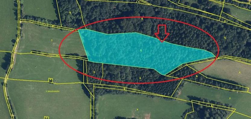 Prodej lesa, Ruda nad Moravou, 21892 m2