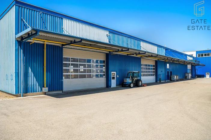 Pronájem výrobních prostor, Hrušky, Na aleji, 6941 m2