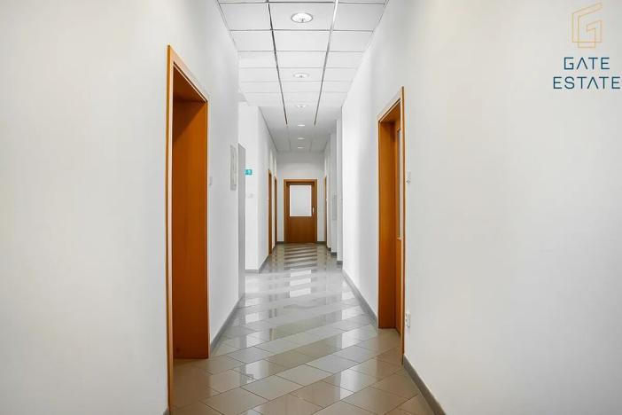 Pronájem výrobních prostor, Hrušky, Na aleji, 6941 m2