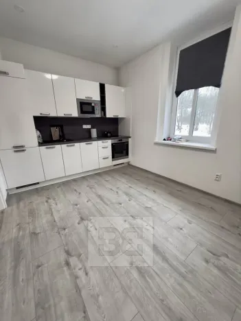 Pronájem bytu 1+1, Mělník, Pražská, 45 m2