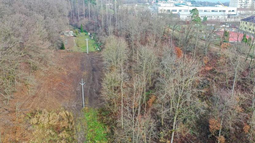 Prodej zahrady, Brno, 1446 m2