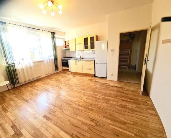 Pronájem bytu 2+kk, Praha - Břevnov, Patočkova, 45 m2