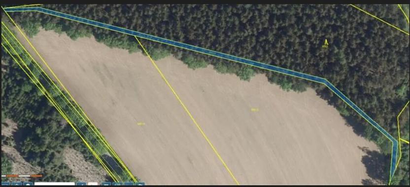 Prodej podílu lesa, Pacov, 1301 m2