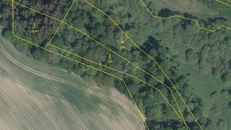 Prodej podílu lesa, Nový Rychnov, 6035 m2