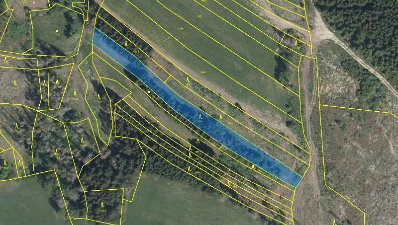 Prodej podílu lesa, Nový Rychnov, 6035 m2