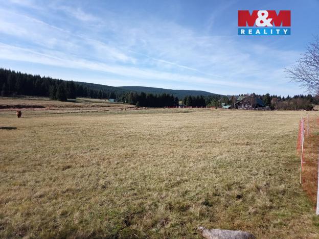 Prodej louky, Kořenov - Jizerka, 18695 m2