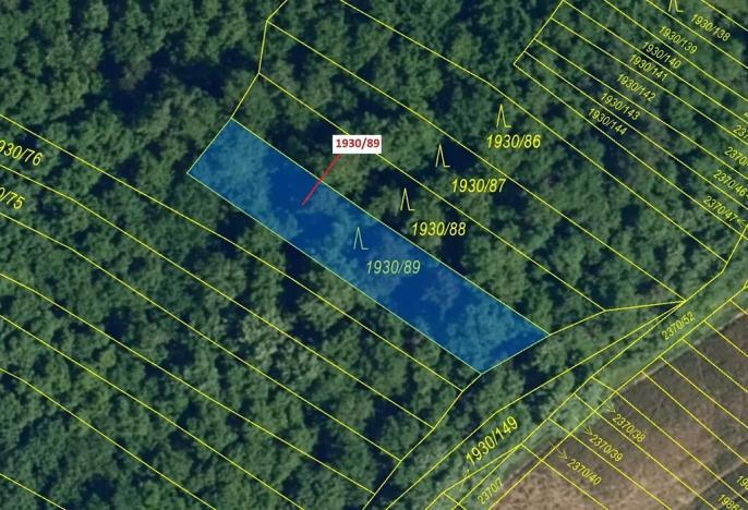 Dražba lesa, Ivančice, 435 m2