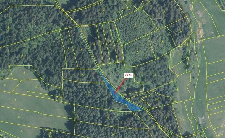 Dražba lesa, Lačnov, 1723 m2