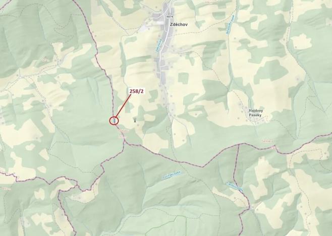 Dražba lesa, Zděchov, 697 m2