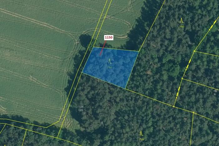 Dražba lesa, Hradiště, 1116 m2